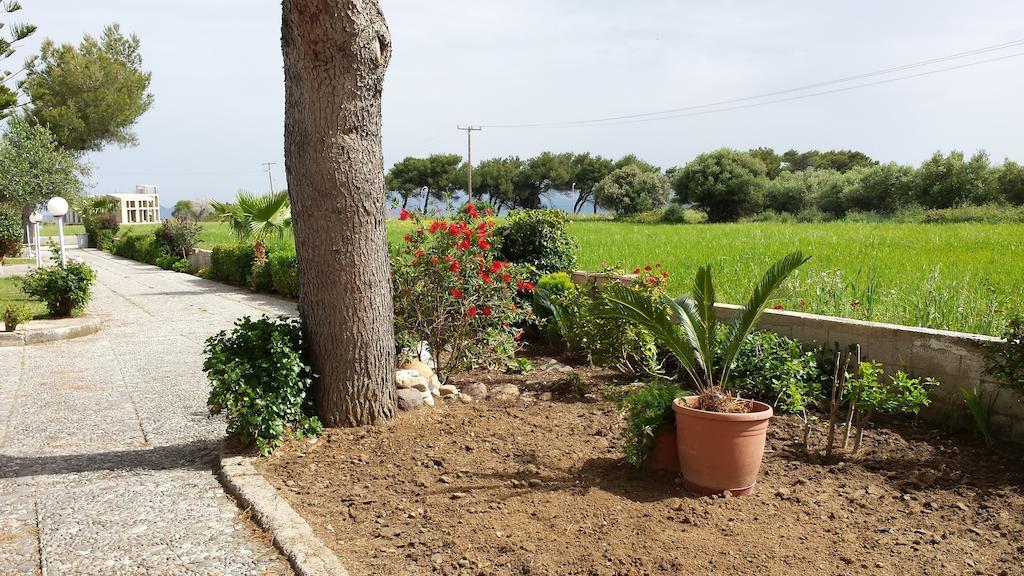 Blue Nest Hotel Tigaki Dış mekan fotoğraf