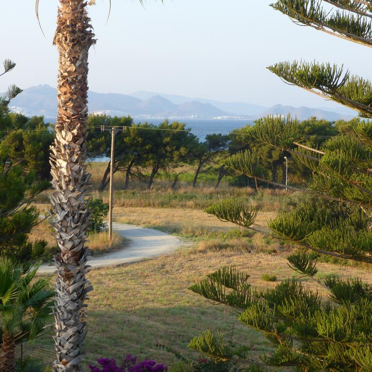 Blue Nest Hotel Tigaki Dış mekan fotoğraf