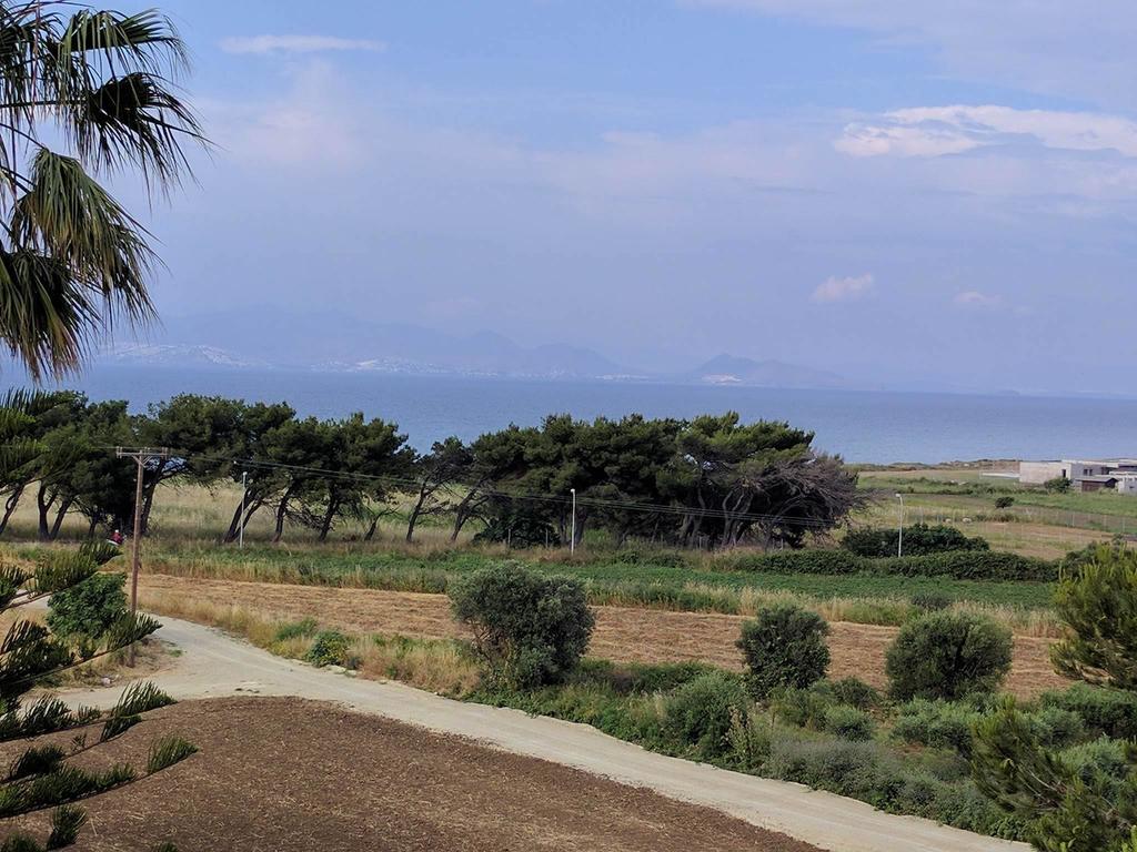 Blue Nest Hotel Tigaki Dış mekan fotoğraf